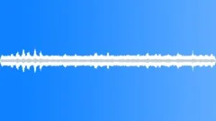Lots Of InsectsSound Effect