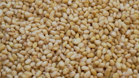 Lots of Isolated Peeled Pine Nuts, Close-up, Rotation. Background of Pine Nuts.  Stock Footage 142874286