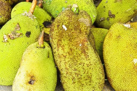 Lots of jackfruit piled together close up Stock Photos