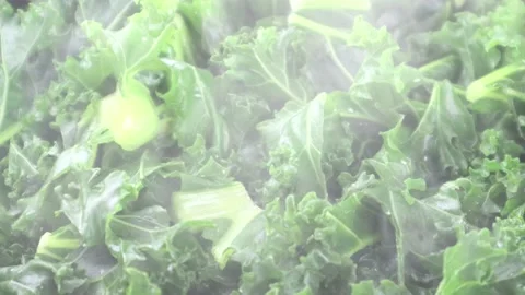 Lots Of Kale Being Steam Cooked 스톡 동영상 134934366