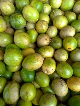 Lot's of key lime Stock Photos