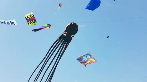 Lots of kites in the sky Stock Footage 167848375
