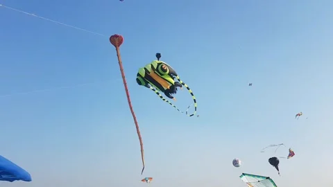 Lots of kites in the sky Stock Footage 167848459