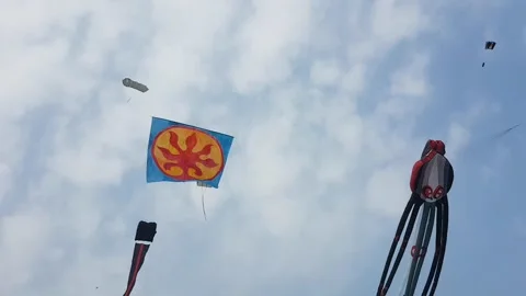Lots of kites in the sky Stock Footage 167848680