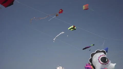 Lots of kites in the sky Stock Footage 167848783