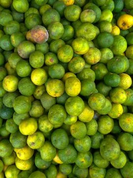 Lots of lemon Foto stock