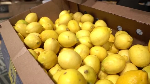 LOTS Lemons and oranges in the store. Colorful display of lemons in market Stock Footage 143382017