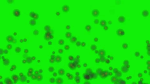 Lots Looping with Flowers on Green Screen Chroma Key Background Video stock 337045725