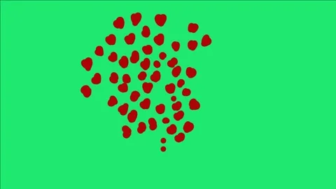 Lots of love animations Stock Footage 229529449