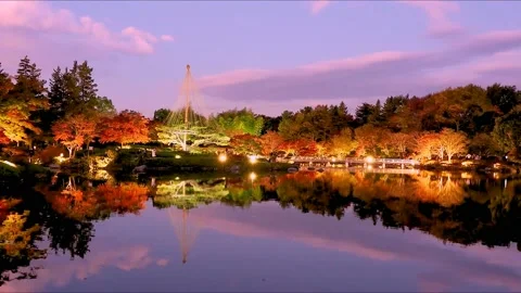 Lots of maple trees with colorful leaves with lights by the lake Stock Footage 234082001