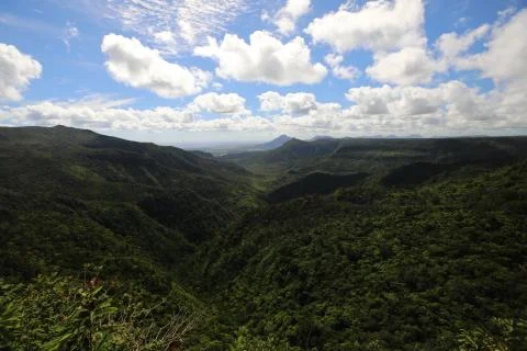 Lots of mountains covered with forest Stock Photos
