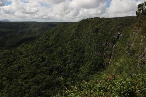 Lots of mountains covered with forest Stock Photos