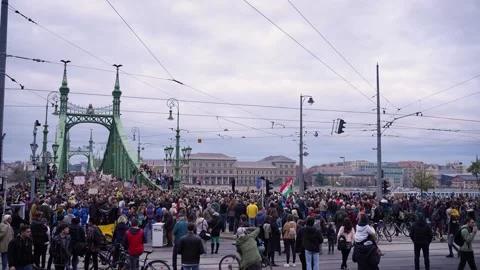 Lots of people rolling down the bridge walking and protesting Stock Footage 220019413