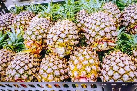 Lots of piles of fresh pineapples Stock Photos