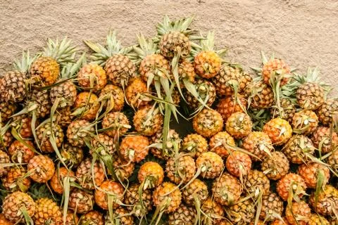 Lots of pineapple Stock Photos
