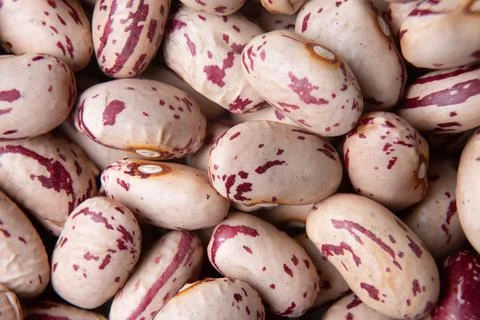 Lots of pinto beans background Stock Photos
