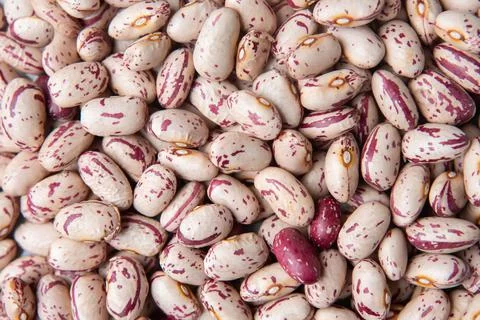 Lots of pinto beans background Stock Photos