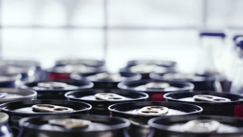Lots of plastic drinks bottles in the shop by the window. CLOSE-UP. Row of Stock Footage 144681306