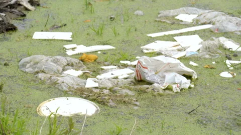 Lots of plastic garbage scattered on the water Stock Footage 137363215
