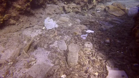 Lots plastic trash polluting the seabed on in the crevice between the rocks, Stock Footage 255110370