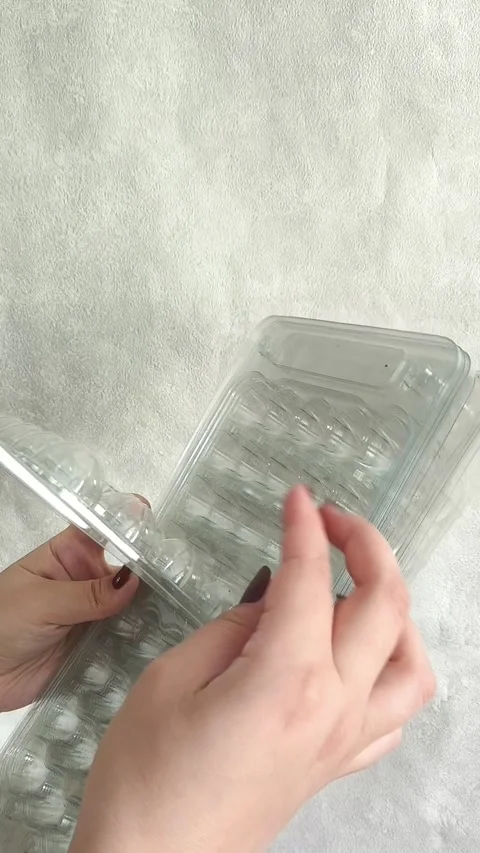 Lots of plastic trays for quail eggs in your hands Stock-Footage 332409839