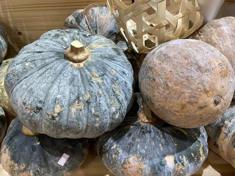 Lots of pumpkins Foto stock