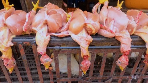 Lots of raw chickens without skin Stock Footage 124092384