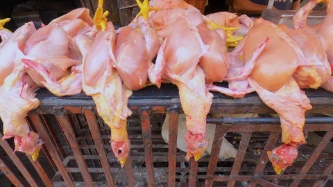 Lots of raw chickens without skin Stock Footage 124092956