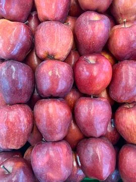 Lots of Red Apples Stock Photos