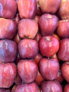 Lots of Red Apples Stock Photos