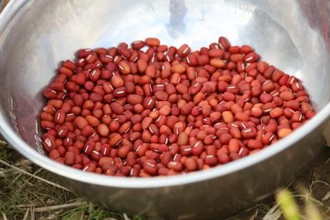 Lots of red bean image Stock Photos