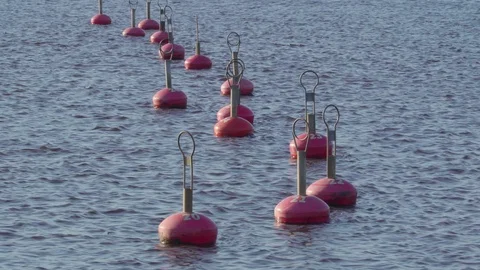 Lots of red bouys on the sea floating Stock Footage 90560294
