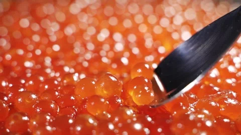 Lots of red caviar and a silver spoon. The spoon picks up red caviar. Fish Video stock 157678747
