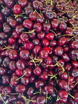 Lots of ripe cherries texture 写真素材
