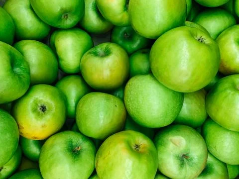 Lots of ripe fruit sweet apples for cooking as a background Stock Photos