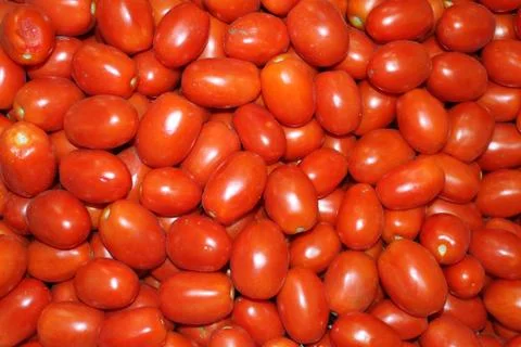 Lots of ripe, juicy plum tomatoes lies close-up Stock Photos
