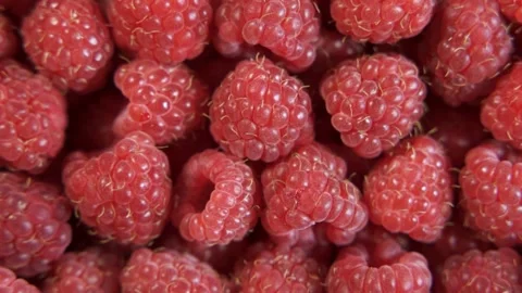 Lots of ripe raspberries close-up. Raspberry background. Berry harvest. Tasty Video stock 158060310
