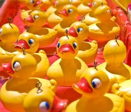 Lots of rubber ducks Stock Photos