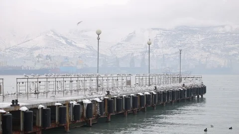 Lots of seagulls on the quay Stock Footage 102918347