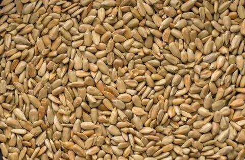 A lots of seeds pattern background macro Stock Photos