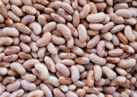 Lots of small brown beans in a large plug. Dry Beans top view. Foto stock