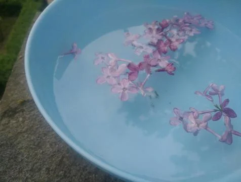 Lots of small flowers. Foto stock
