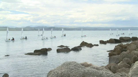 Lots of small yachts return to harbor Stock Footage 583427