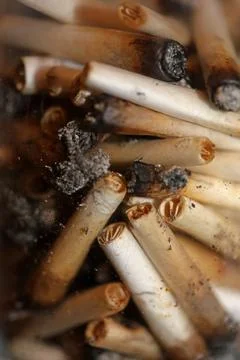 Lots of smoking joints tips in transparent glass macro Medical cannabis cre.. Stock Photos
