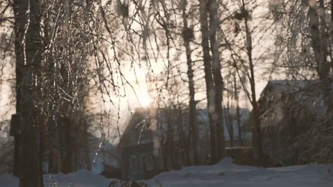 Lots of snow and strong wind stirs the trees Stock Footage 74210432