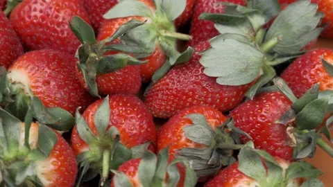 Lots of strawberries close up rotates Stock Footage 150740547