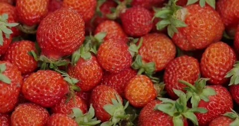 Lots strawberries Stock Footage 132369578