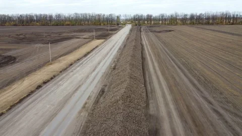 Lots of sugar beets Stock Footage 163932683