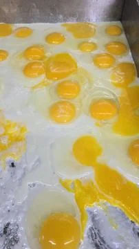 Lots of Sunny Side Up Fried Eggs Cooking at the grill Together For Breakfas.. Stock Photos