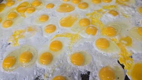 Lots of Sunny Side Up Fried Eggs Cooking at the grill Together For Breakfas.. Stock Photos